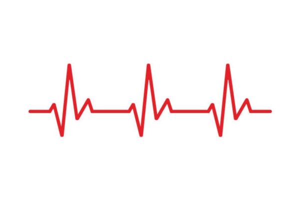 La variabilité de la fréquence cardiaque